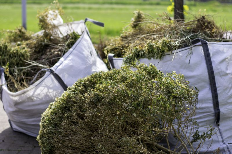 Bush Pruning in Rockwall, TX