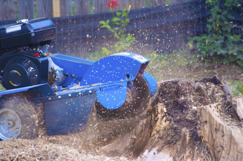 Commercial Stump Grinding in Calvert County, MD