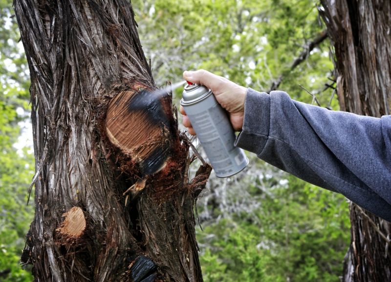 Cypress Tree Trimming in Pottstown, PA