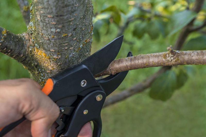 Dead Tree Removal in Bucks County, PA