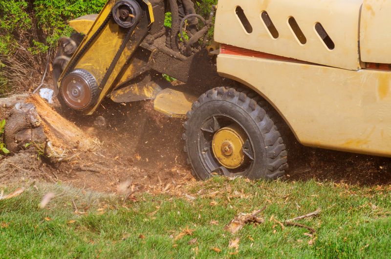 Tree Root Grinding in Aiken, SC