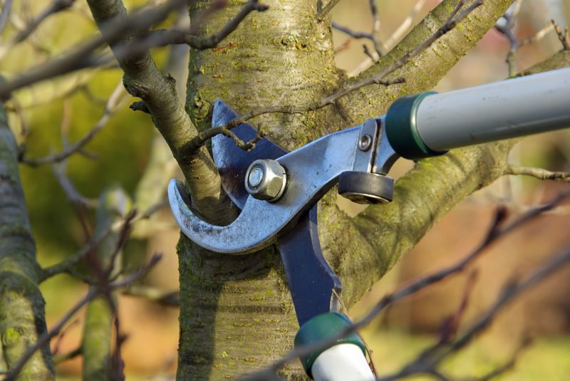 Pruning for Health