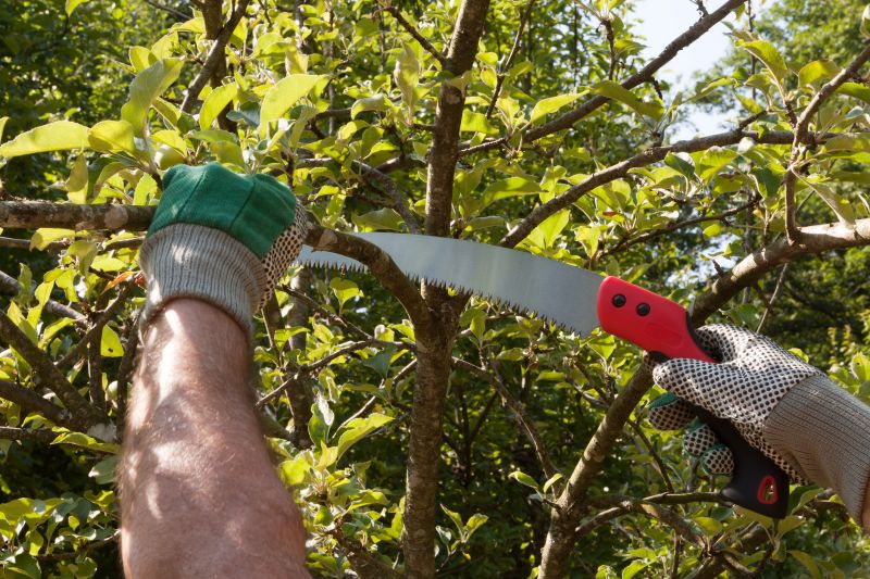 Professional pruning tools in use